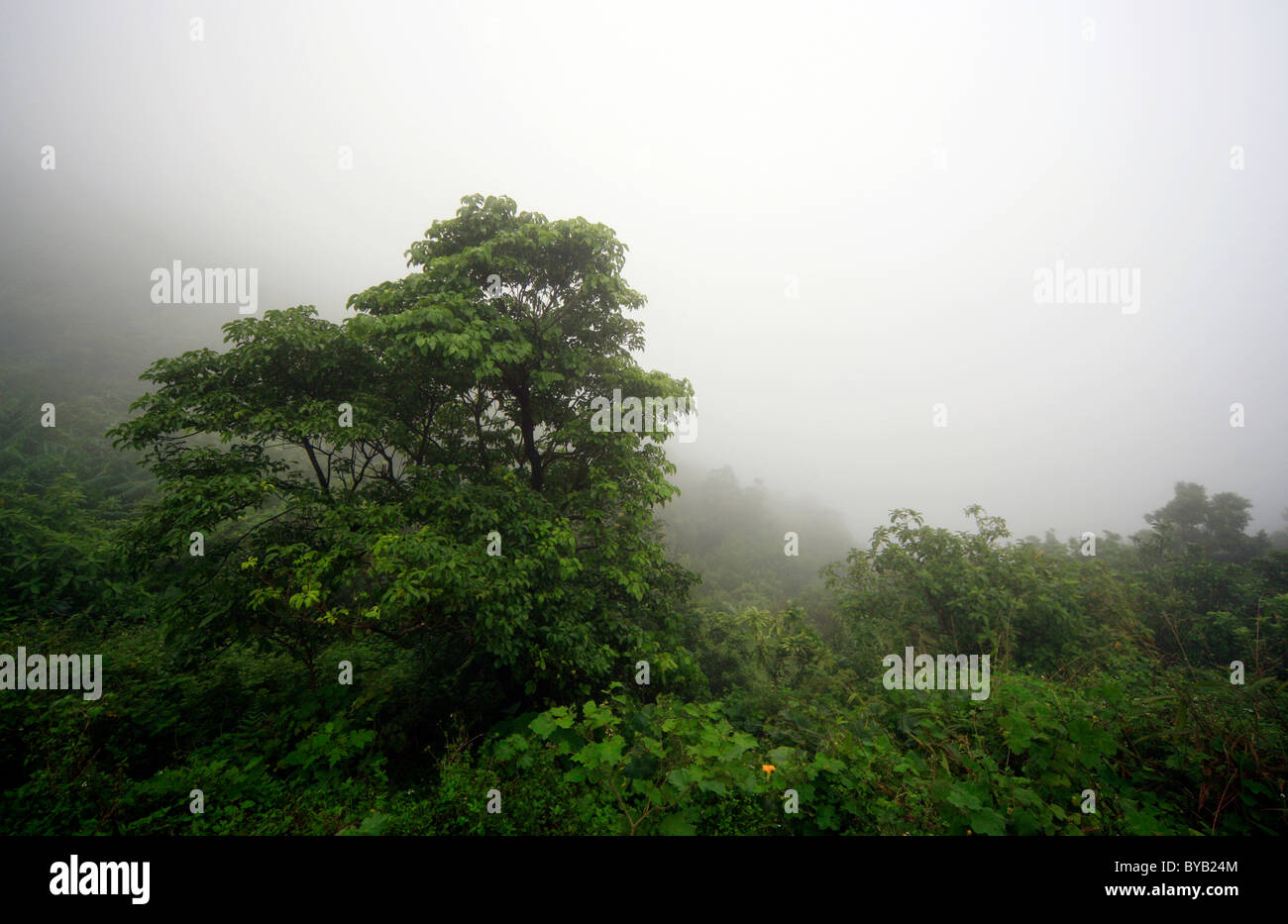 Hai Van Pass, Vietnam, Asia Foto Stock