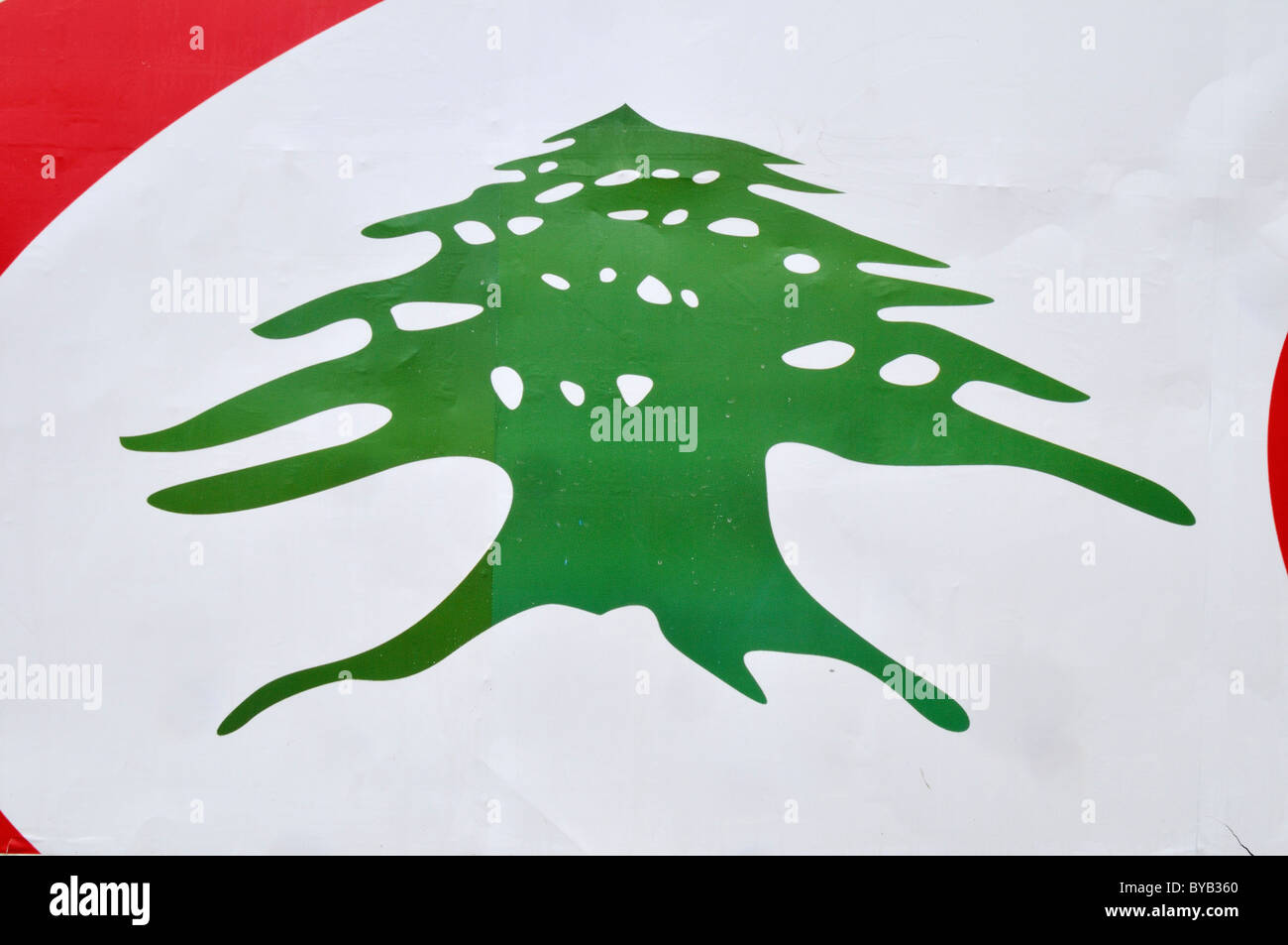 Albero di cedro Logo, Libano, Medio Oriente e Asia Orientale Foto Stock