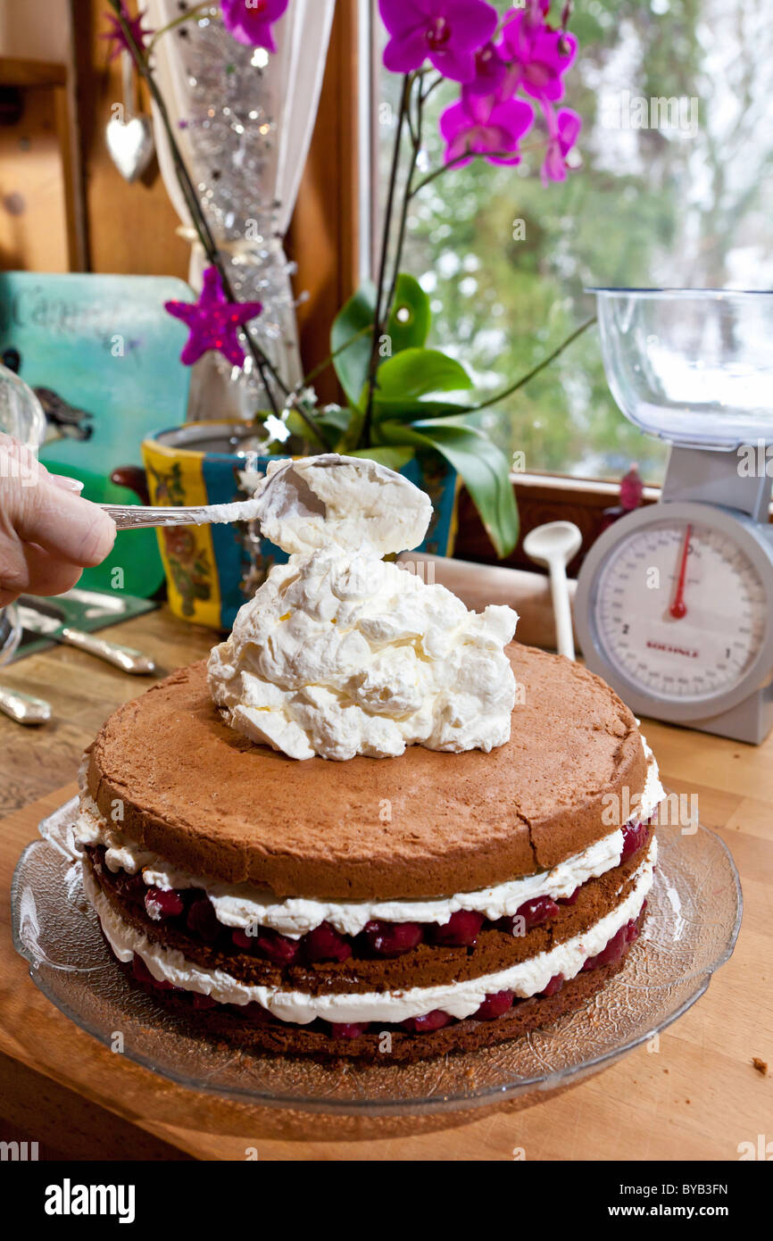 Preparazione di una fatta in casa Black Forest gateau Foto Stock