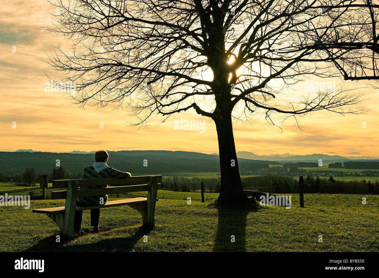 Mt Benediktenwand e il Monte Zugspitze dal Weyarner Lindl tiglio di Weyarn, Alta Baviera, Germania, Europa Foto Stock