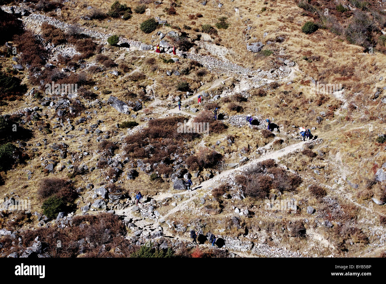 Serpentine in ascesa a Thame, Khumbu, Parco Nazionale di Sagarmatha, Nepal, Asia Foto Stock