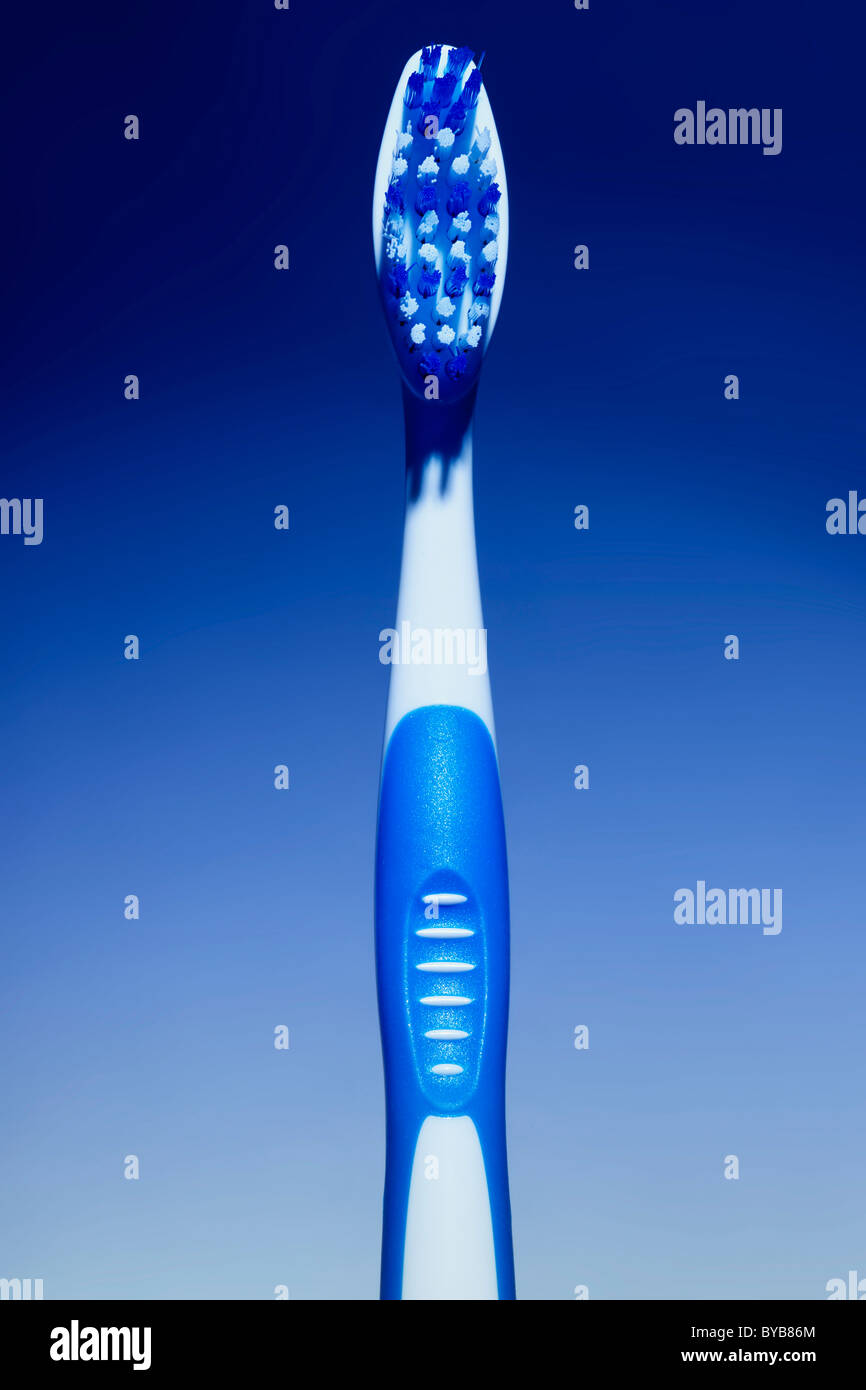 Blu e bianco spazzolino da denti, concettuale Foto Stock