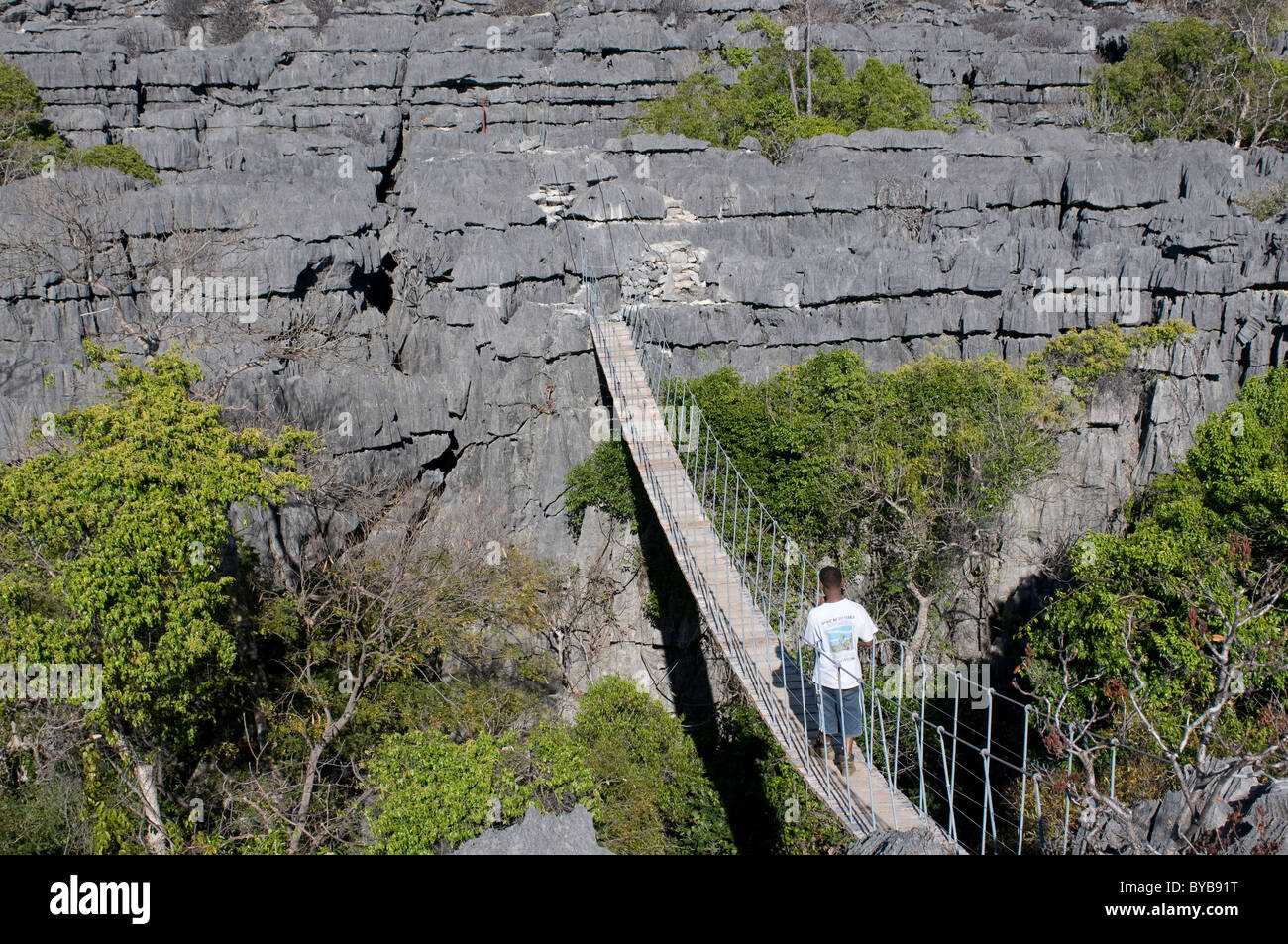 Ponte di sospensione su formazioni rocciose, Tsingy, Ankarana, Madagascar, Africa Foto Stock