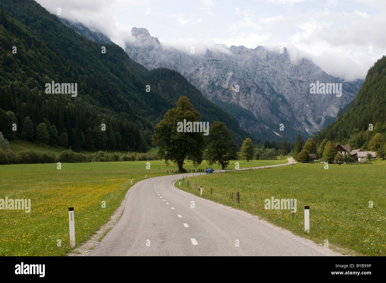 Strada di campagna attraverso una Valle Logarska, Slovenia, Europa Foto Stock