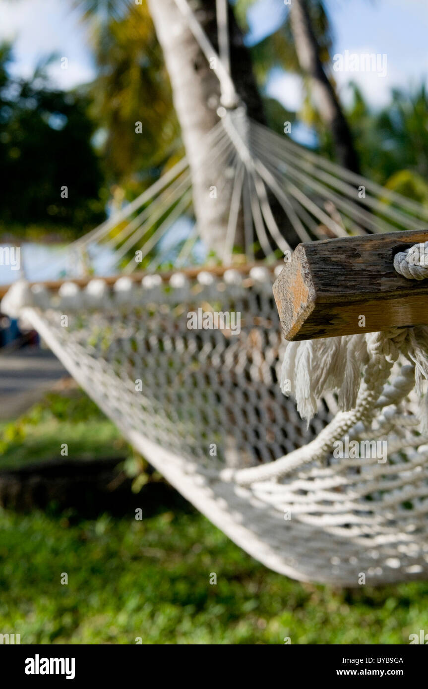 Amaca, Le Paradis, Mauritius, Africa Foto Stock