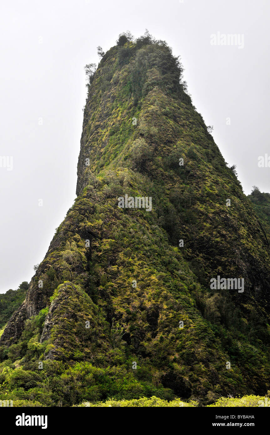 Kukaemoku ago Iao Valley State Park Maui Hawaii Foto Stock