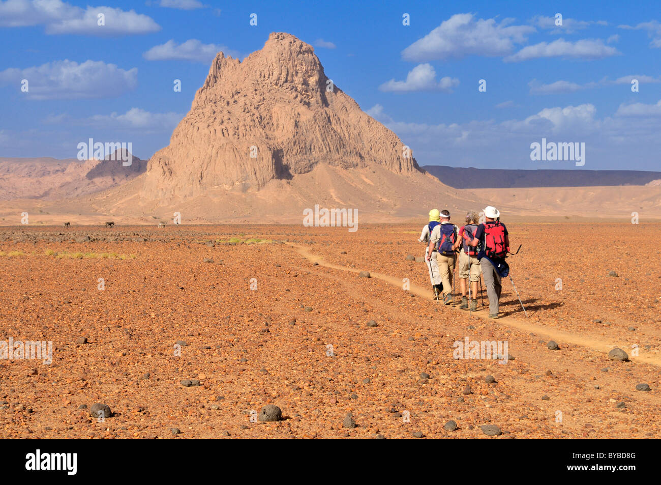 Gruppo di turisti escursioni attraverso il paesaggio vulcanico, Hoggar, Ahaggar montagne, Wilaya Tamanrasset, Algeria, Sahara Foto Stock