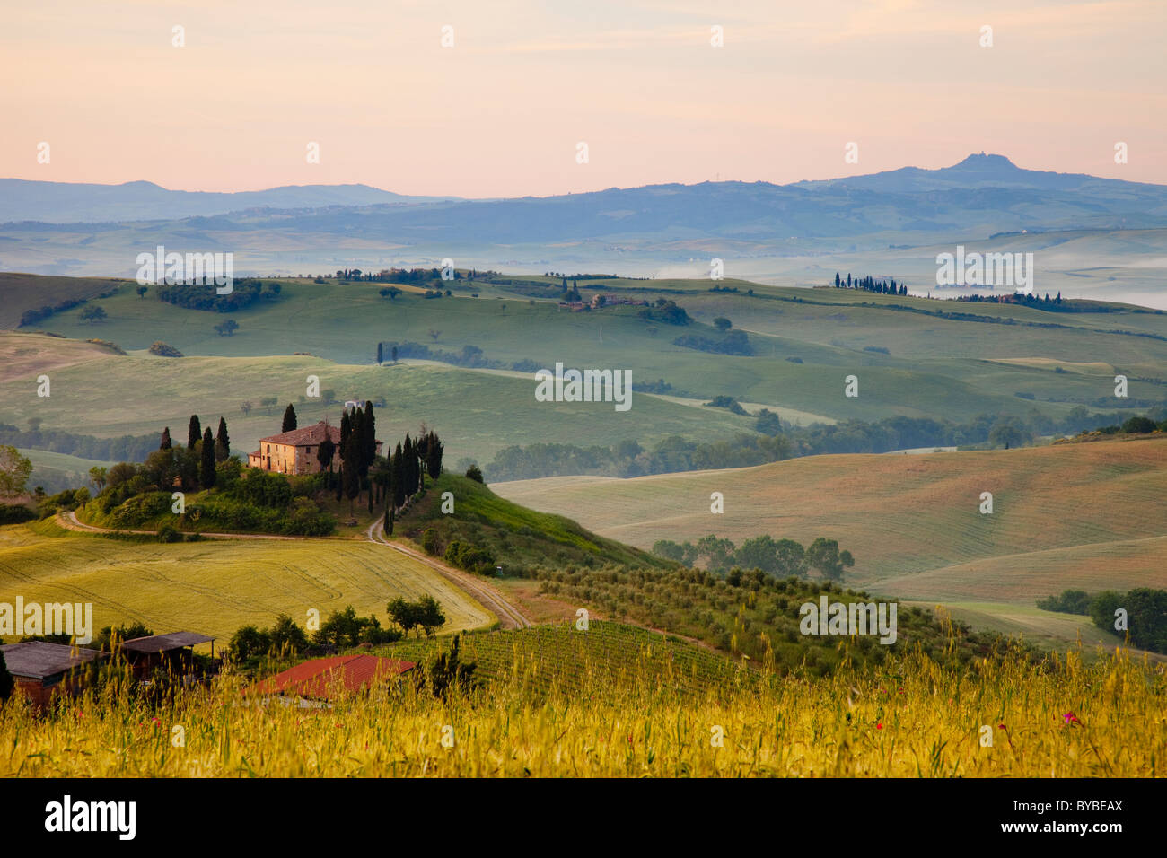 Podere Belvedere e la campagna toscana all'alba nei pressi di San Quirico d'Orcia, Toscana Italia Foto Stock