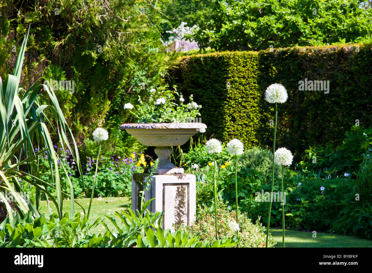 Un piccolo prato in un paese di lingua inglese giardino in estate con una piantatrice di pietra su un plinto. Foto Stock