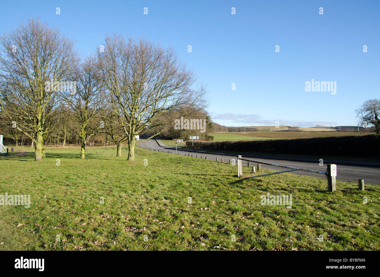 Il bordo della Foresta di Sherwood in inverno. Swinecote road, B6034 Foto Stock