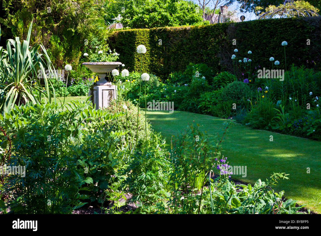 Un piccolo prato in un paese di lingua inglese giardino in estate con una piantatrice di pietra su un plinto. Versione ritagliata BYBFRY disponibili Foto Stock
