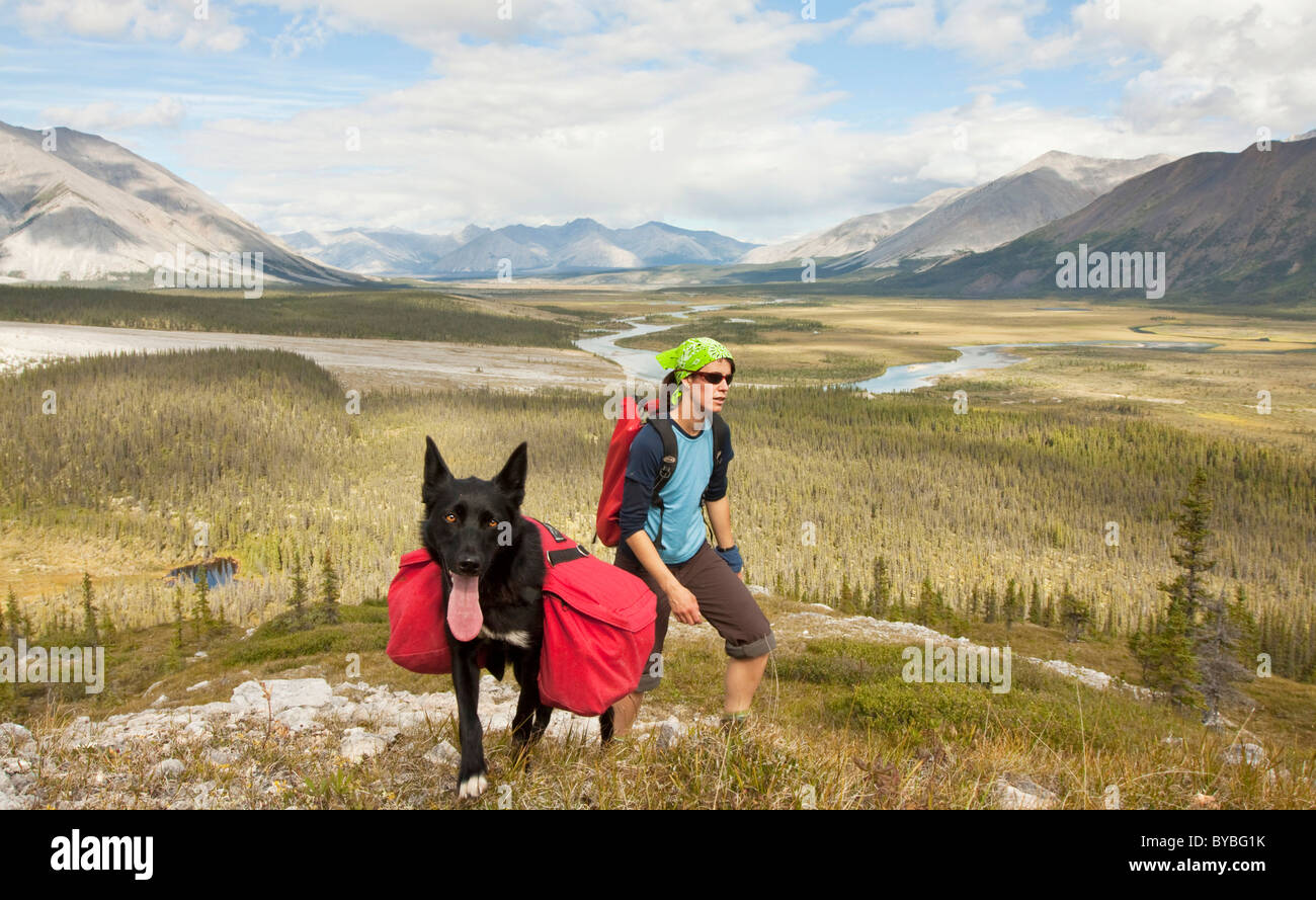 Giovane donna escursionismo, pack cane, Alaskan Husky Sled Dog, portante un pacco di cane, zaino, Wind River e Mackenzie montagne dietro Foto Stock