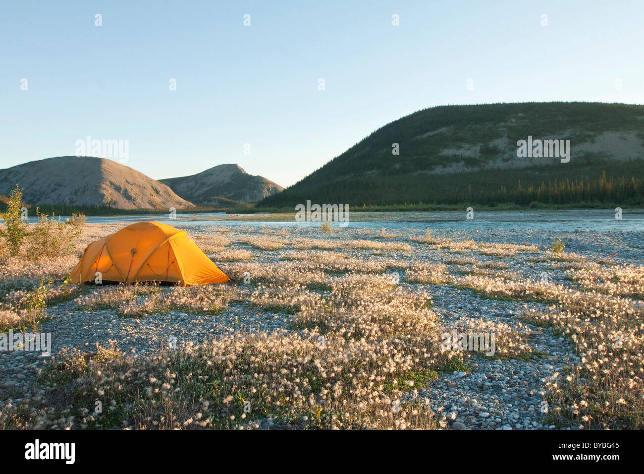 Spedizione tenda, tundra artica, cotone erba, camping, Wind River e Mackenzie montagne dietro, Yukon Territory, Canada Foto Stock
