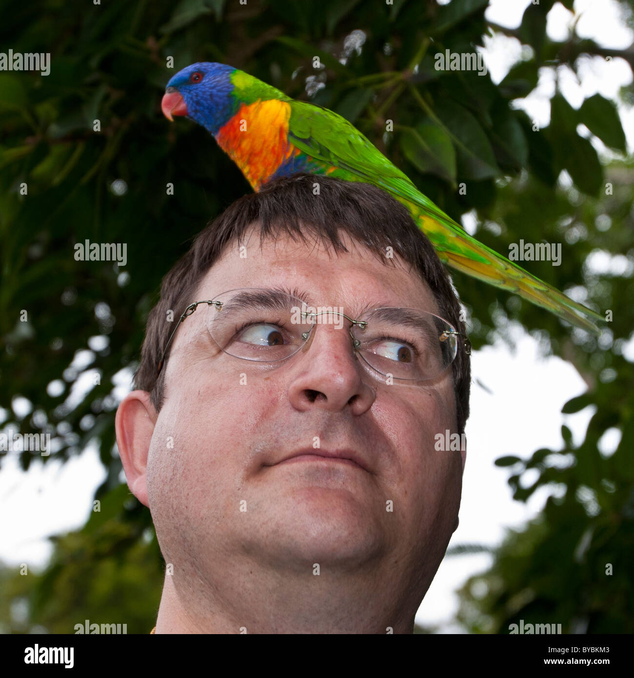 Scomodo guardando l'uomo con un uccello sulla sua testa Foto Stock