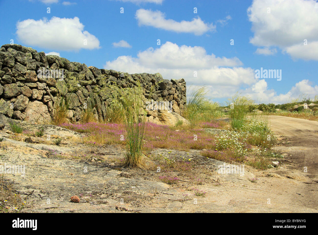 A Valencia De Alcantara Granitfelsenlandschaft - Valencia De Alcantara di roccia di granito paesaggio 40 Foto Stock