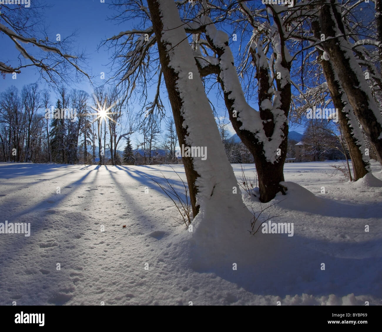 DE - BAVARIA: Scena invernale vicino a Lenggries (immagine HDR) Foto Stock