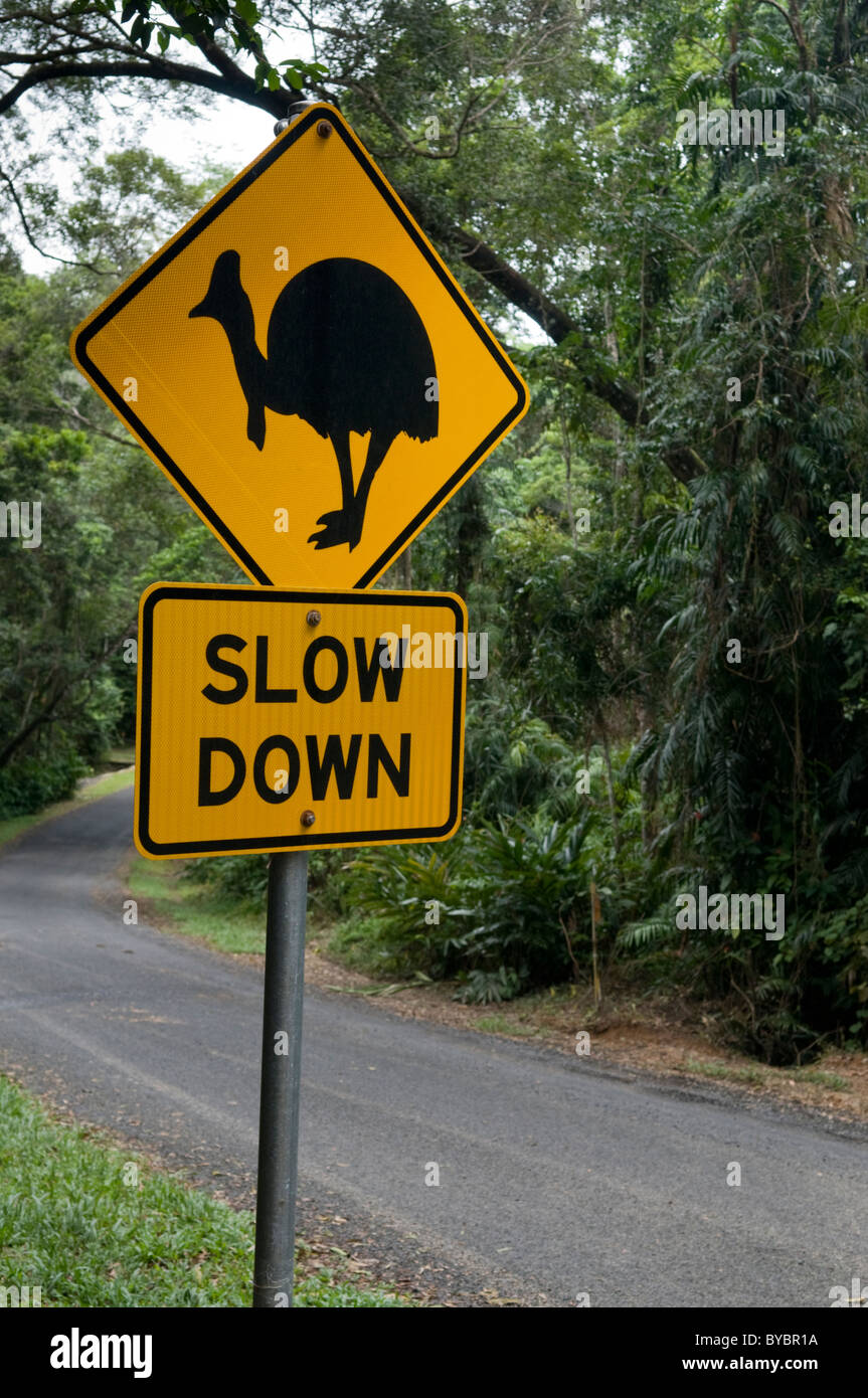 Un segno di avvertimento di driver uccelli Casuario sulla strada del Queensland, Australia Foto Stock
