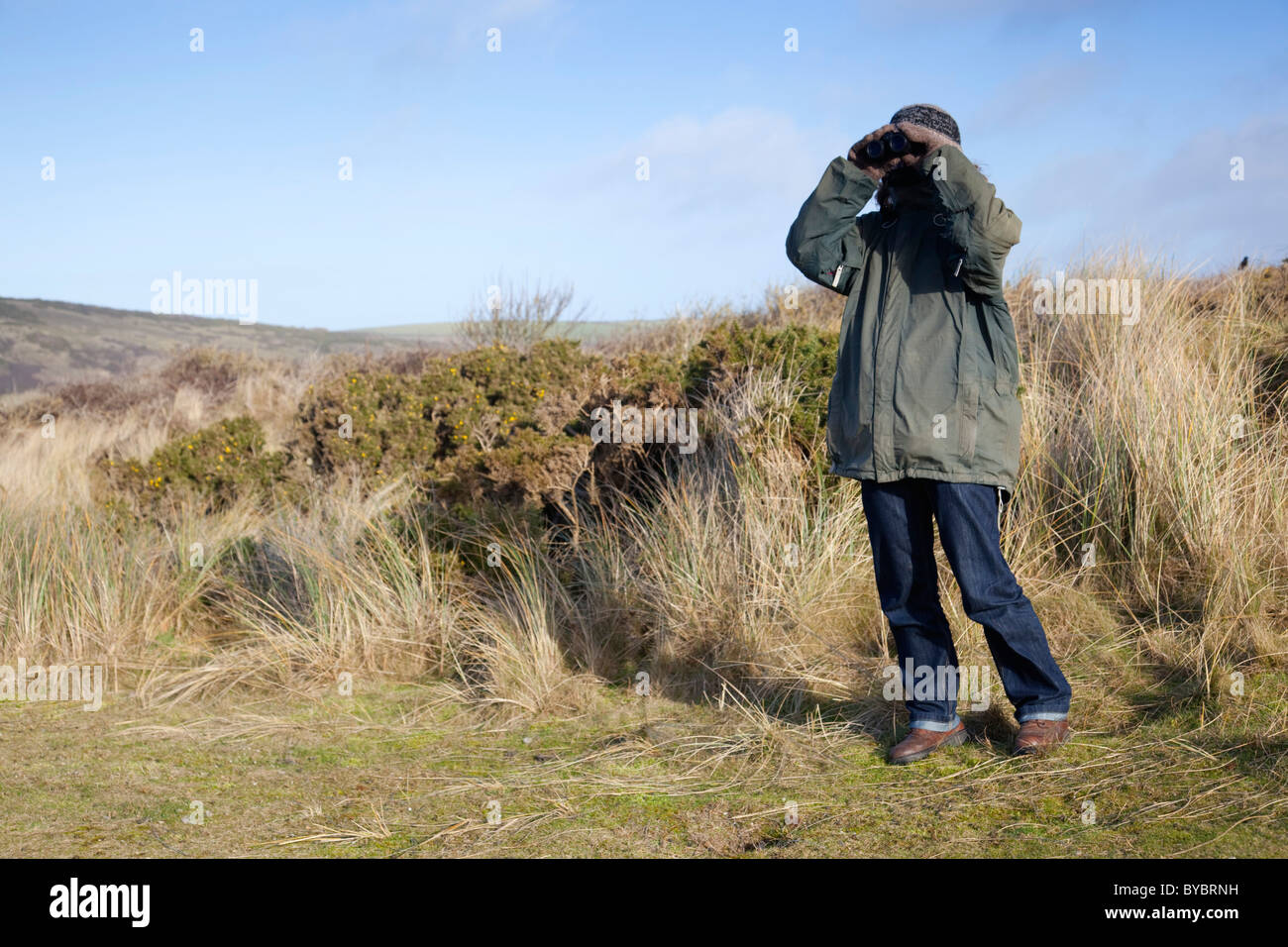 Bird watching a Godrevy; Cornovaglia Foto Stock