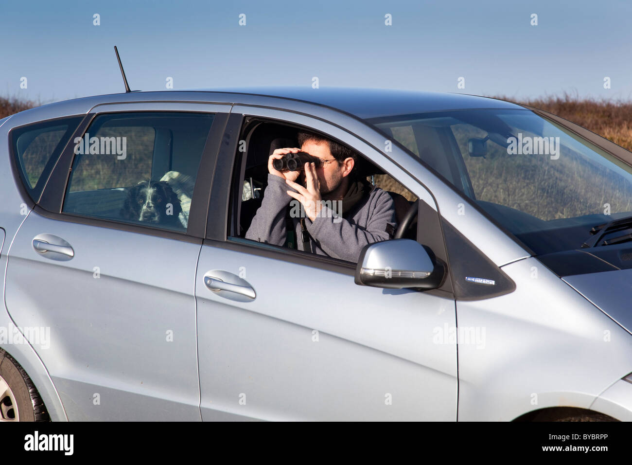 Bird watching da una vettura; Cornovaglia auto appartiene al fotografo Foto Stock