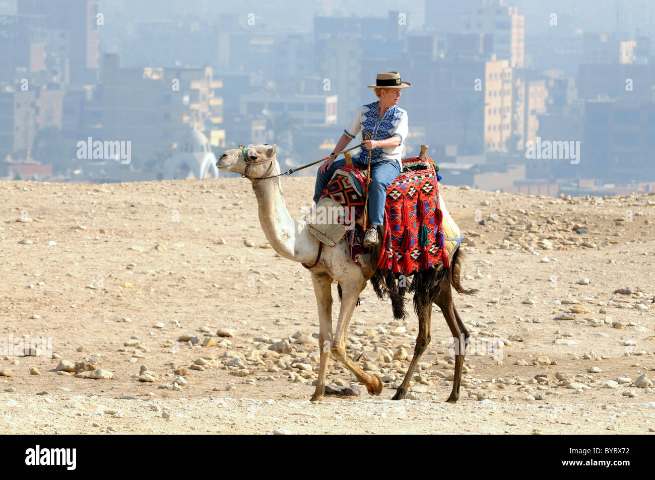 Egitto, turistico equitazione cammelli di Giza in Egitto con la città del Cairo in background. Foto Stock