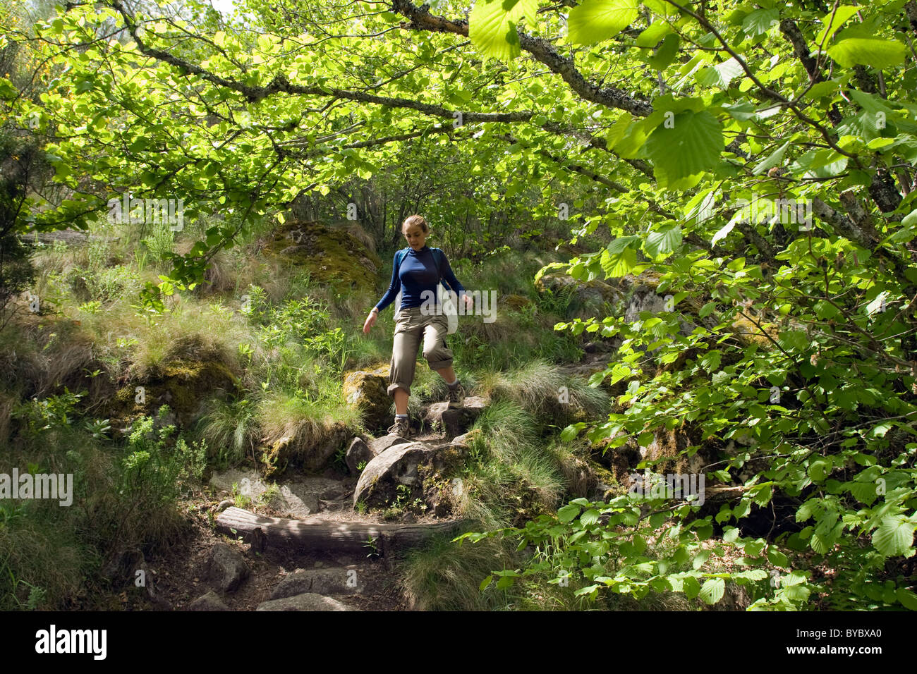 Gli escursionisti a piedi attraverso la foresta nella primavera di Sanabria lago parco naturale di Zamora Spagna Foto Stock