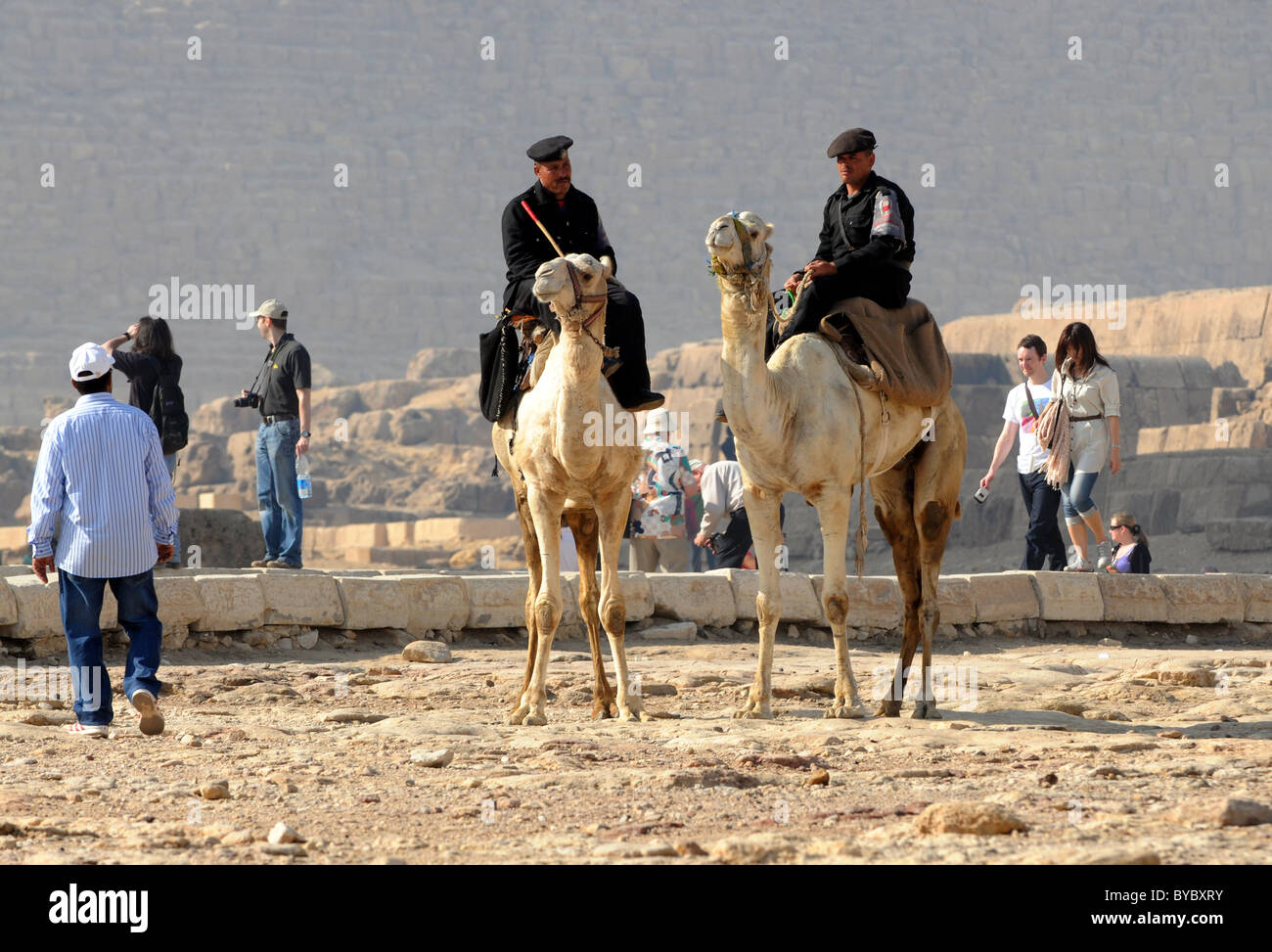 La polizia sui cammelli di Giza in Egitto. Foto Stock