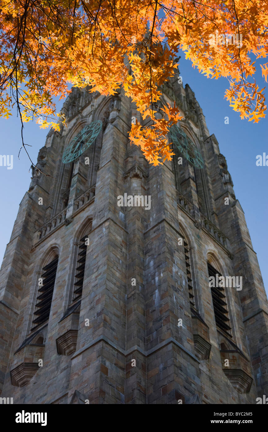 Harkness Tower, Yale University Campus, New Haven, Connecticut, Stati Uniti d'America. Foto Stock