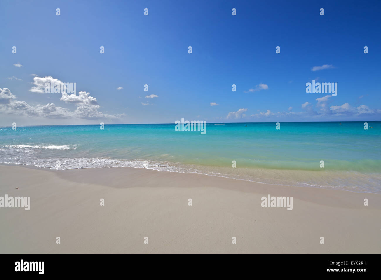 Polverulento di spiaggia di sabbia bianca di Aruba Foto Stock