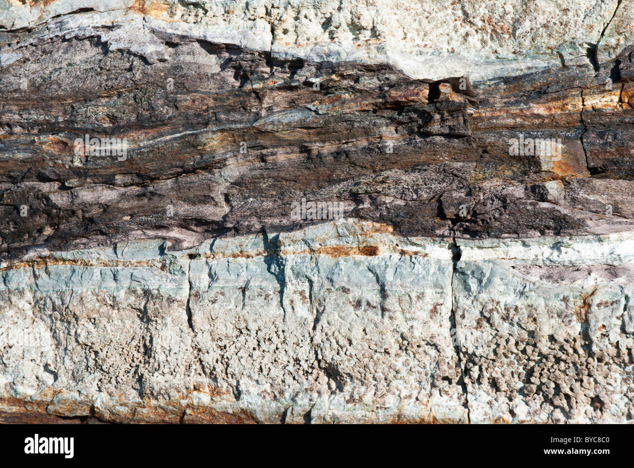 Vista ingrandita della geologia rocce Foto Stock