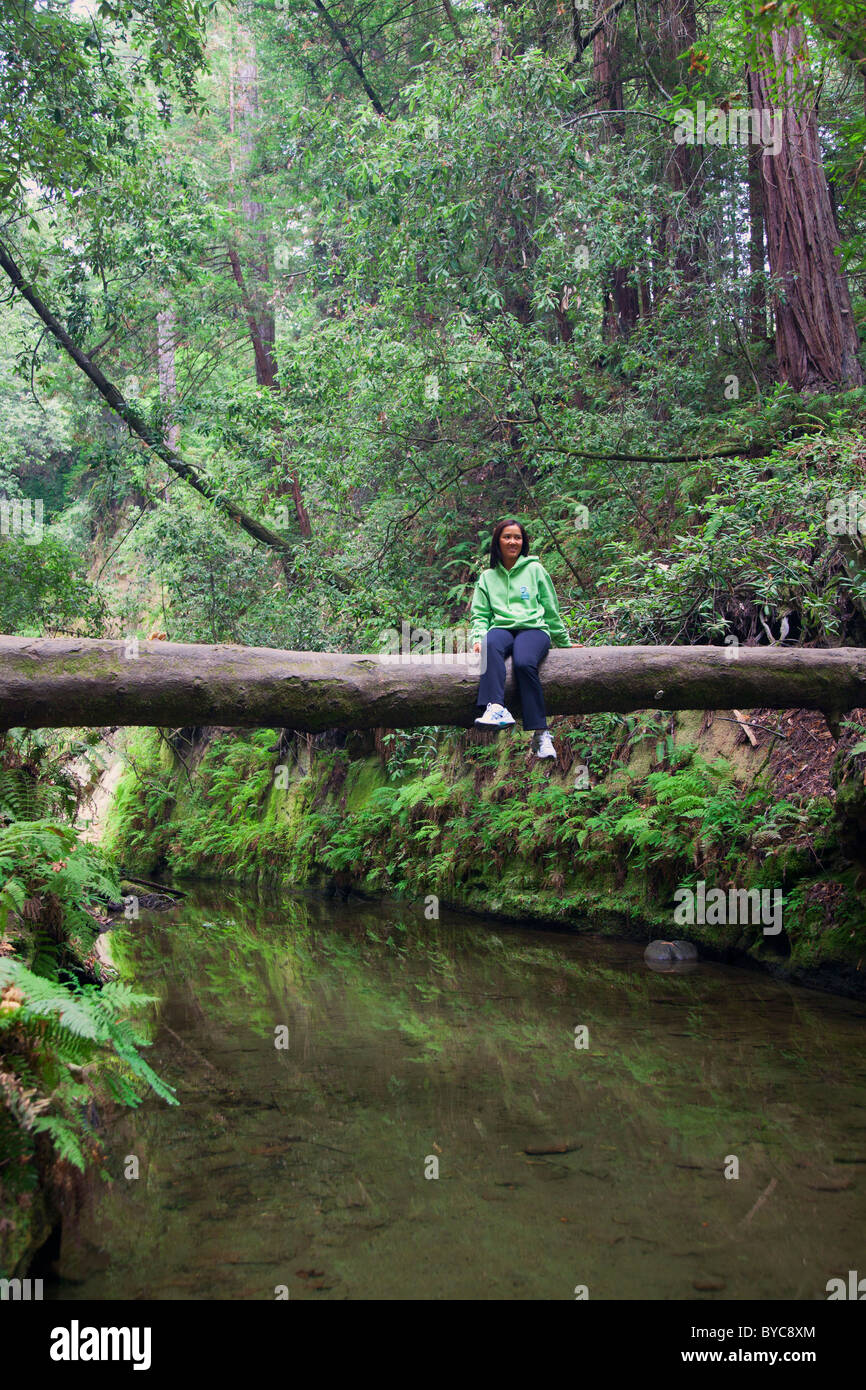 Escursioni nella foresta di segni Nisene parco statale, Aptos, California. (Modello rilasciato) Foto Stock