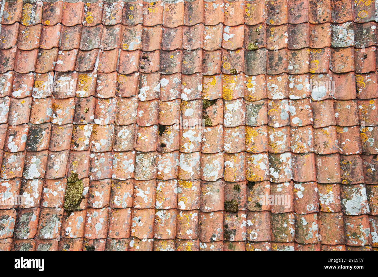 Vecchia pietra terracotta tegole del tetto Foto Stock