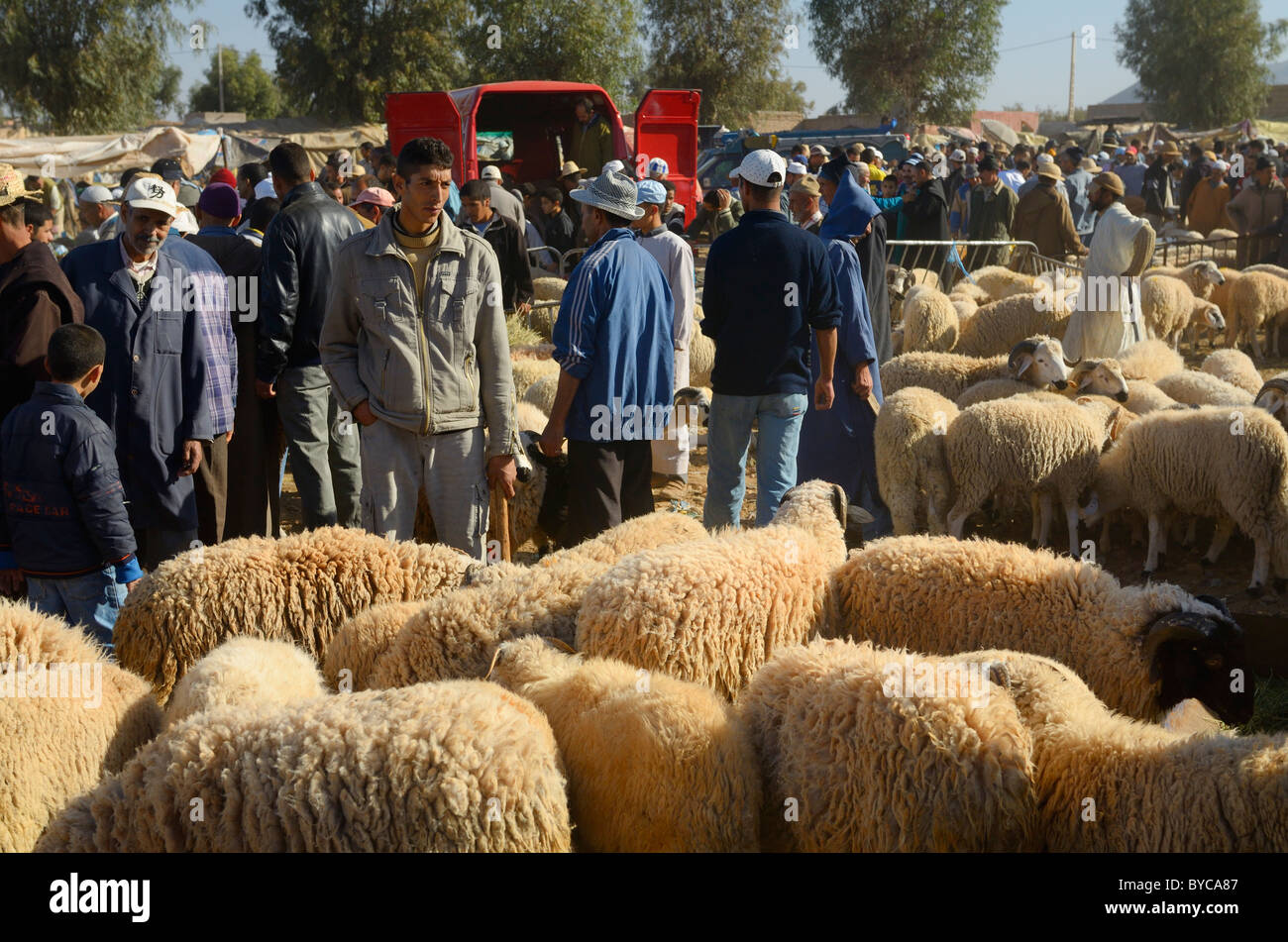 Affollato mercato di pecora a ait ourir Marocco per il sacrificio al musulmano l'Eid Al Adha festa Foto Stock