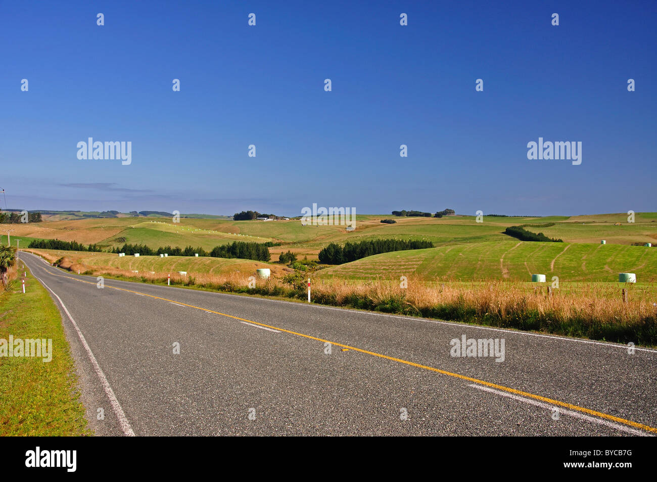Visualizzazione orizzontale sul sud del percorso panoramico attraverso il Catlins, Southland, Isola del Sud, Nuova Zelanda Foto Stock