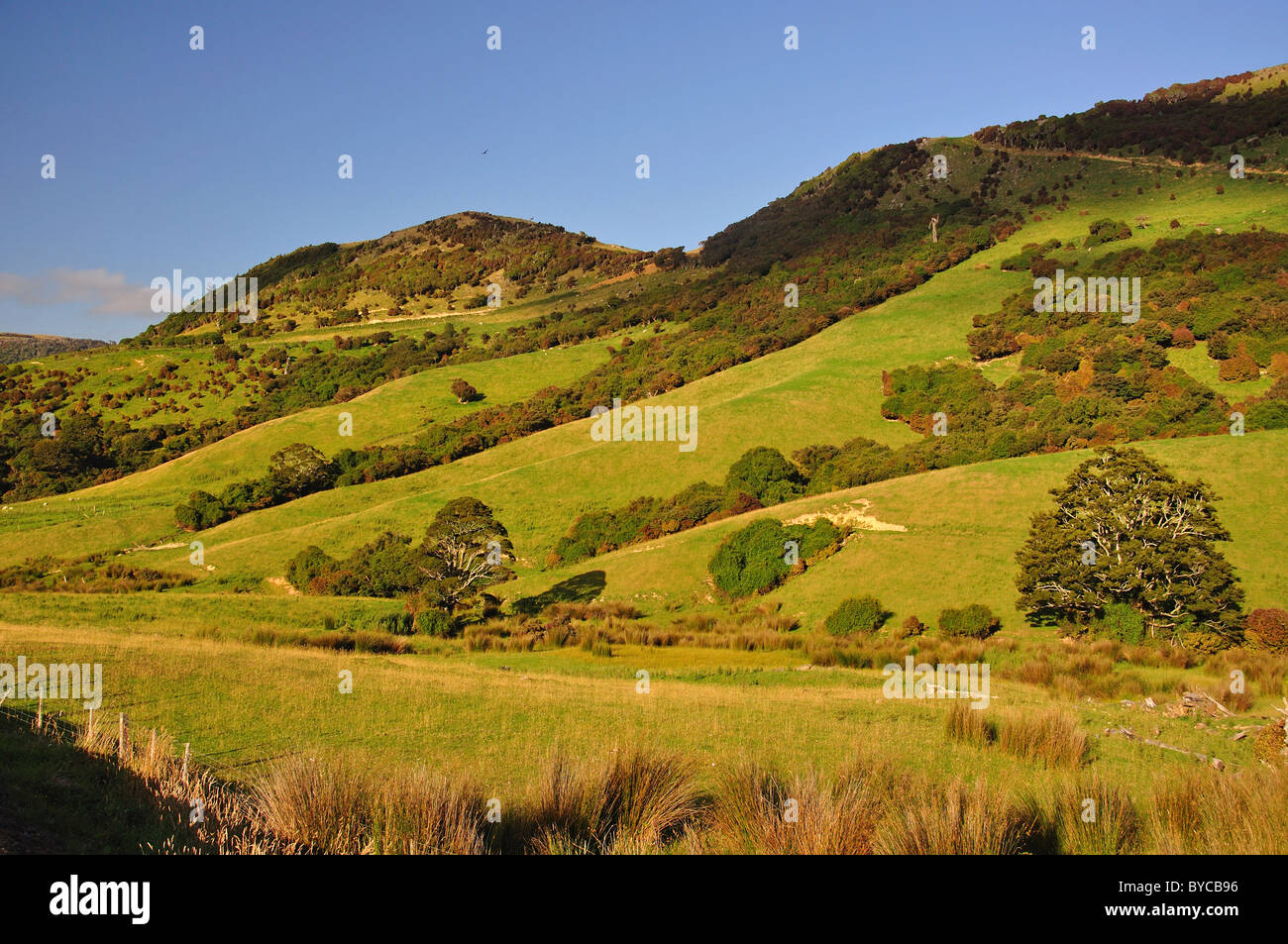 Paesaggio vista sul sud del percorso panoramico attraverso il Catlins, Regione del Southland, Isola del Sud, Nuova Zelanda Foto Stock