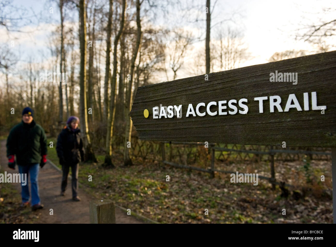 Un cartello in legno per il sentiero di facile accesso nei boschi di Norsey in Essex. Foto Stock