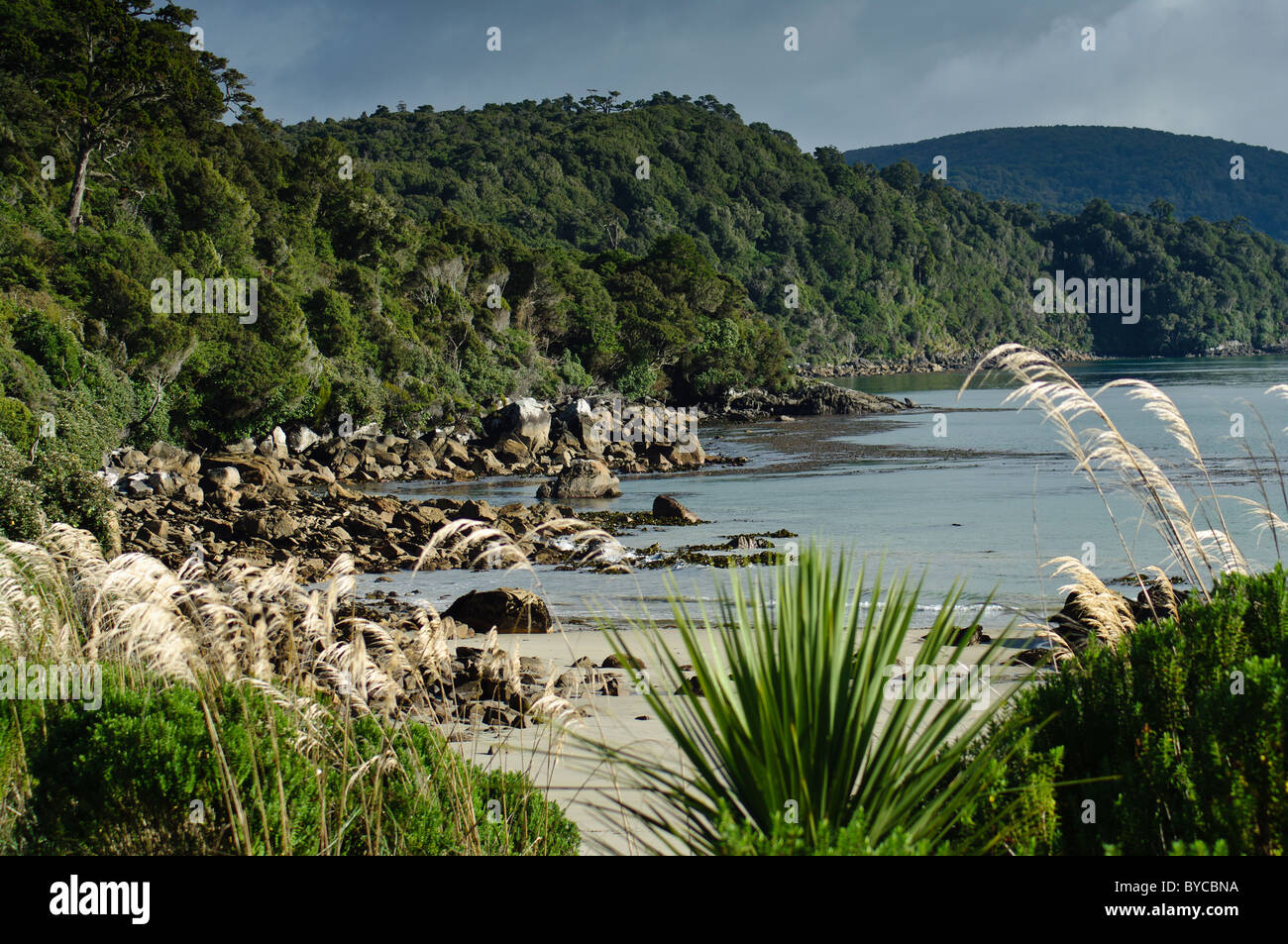 Lee Bay sull'isola di Stewart, Nuova Zelanda prima della tempesta Foto Stock