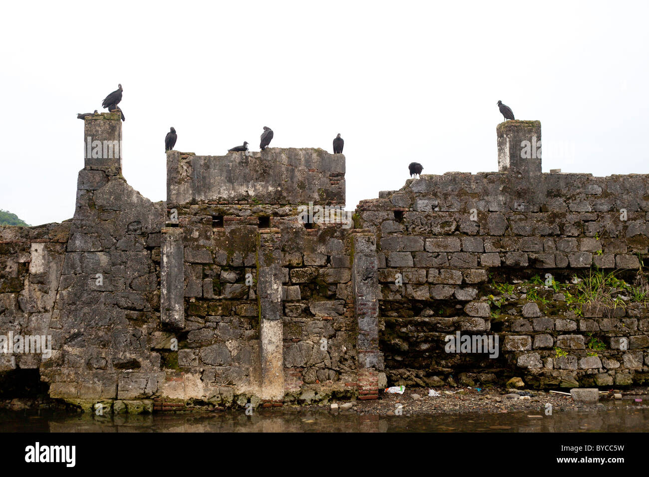 Spanish Fort rovine in Portobelo Panama con uccelli nella parte superiore delle pareti Foto Stock