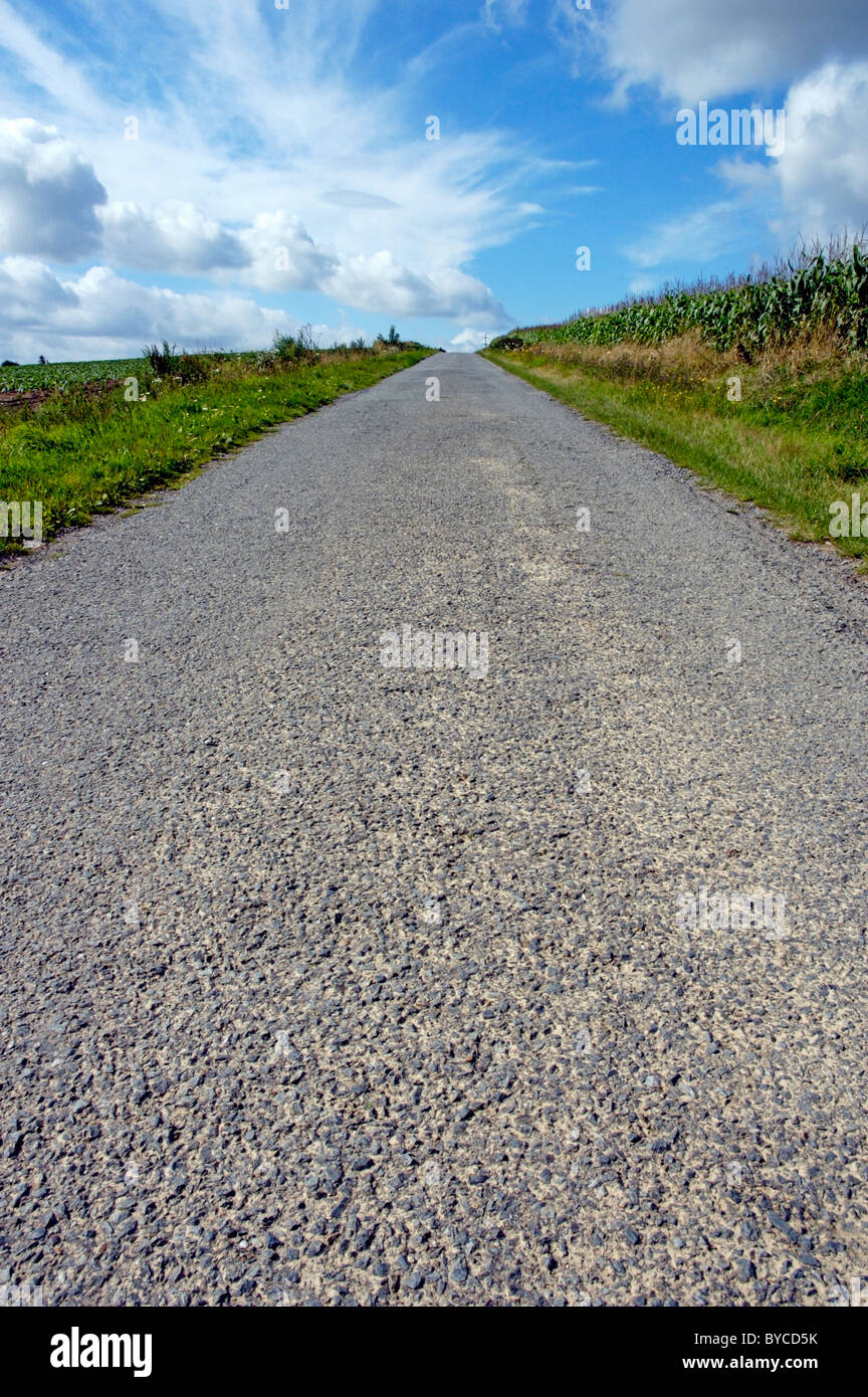 Svuotare direttamente country road, REGNO UNITO Foto Stock