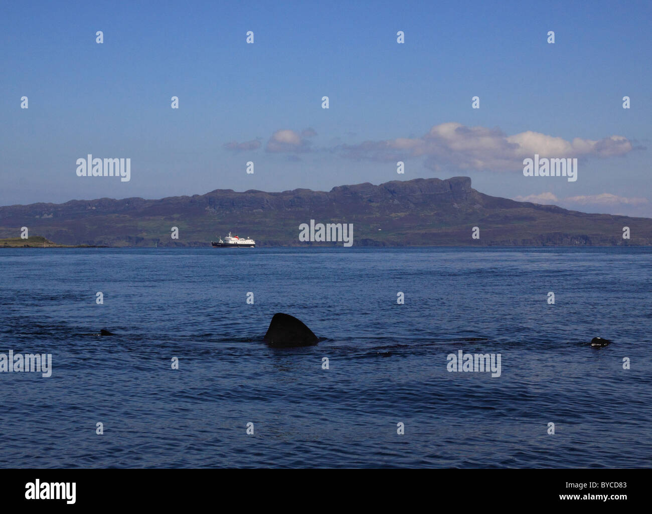 Regno Unito Scozia Inverness-shire mare delle Ebridi dello squalo elefante e la principessa delle Ebridi e isola di Eigg Foto Stock