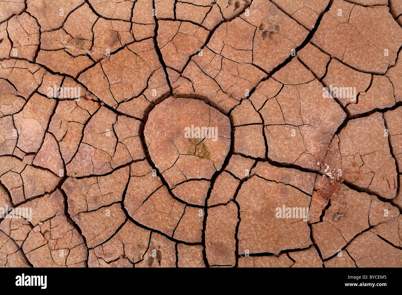 La carestia siccità arido essiccato fino fuori suolo incrinato Foto Stock