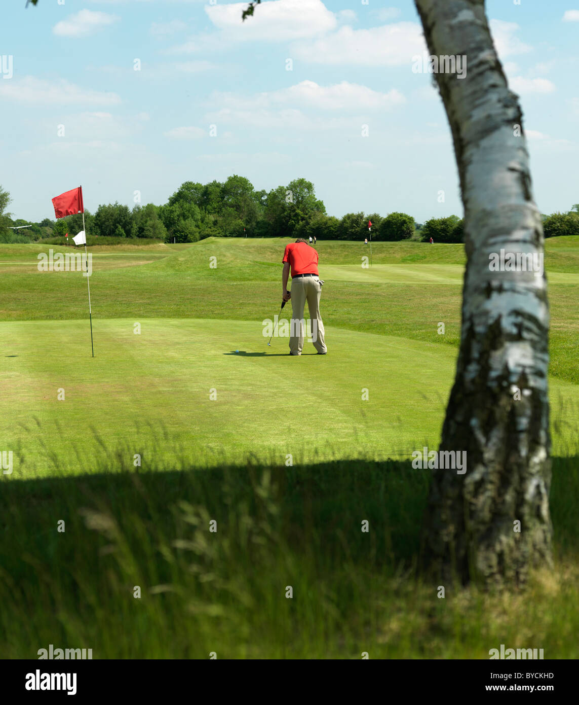 Il Golfer in maglietta rossa sul putting green Foto Stock