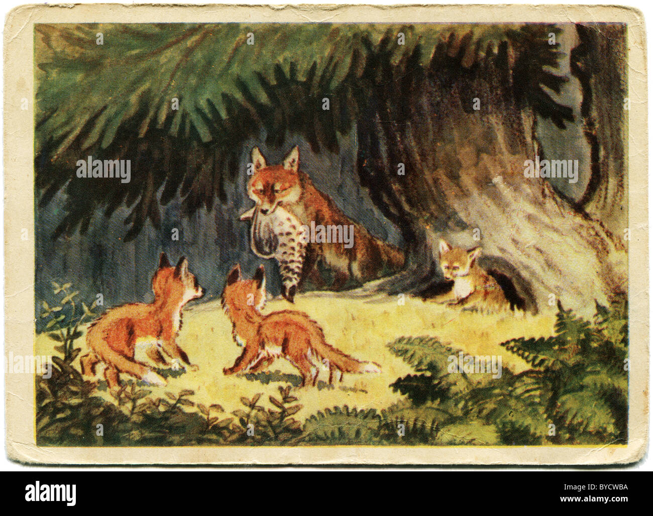 Cartolina di antiquariato Foto Stock