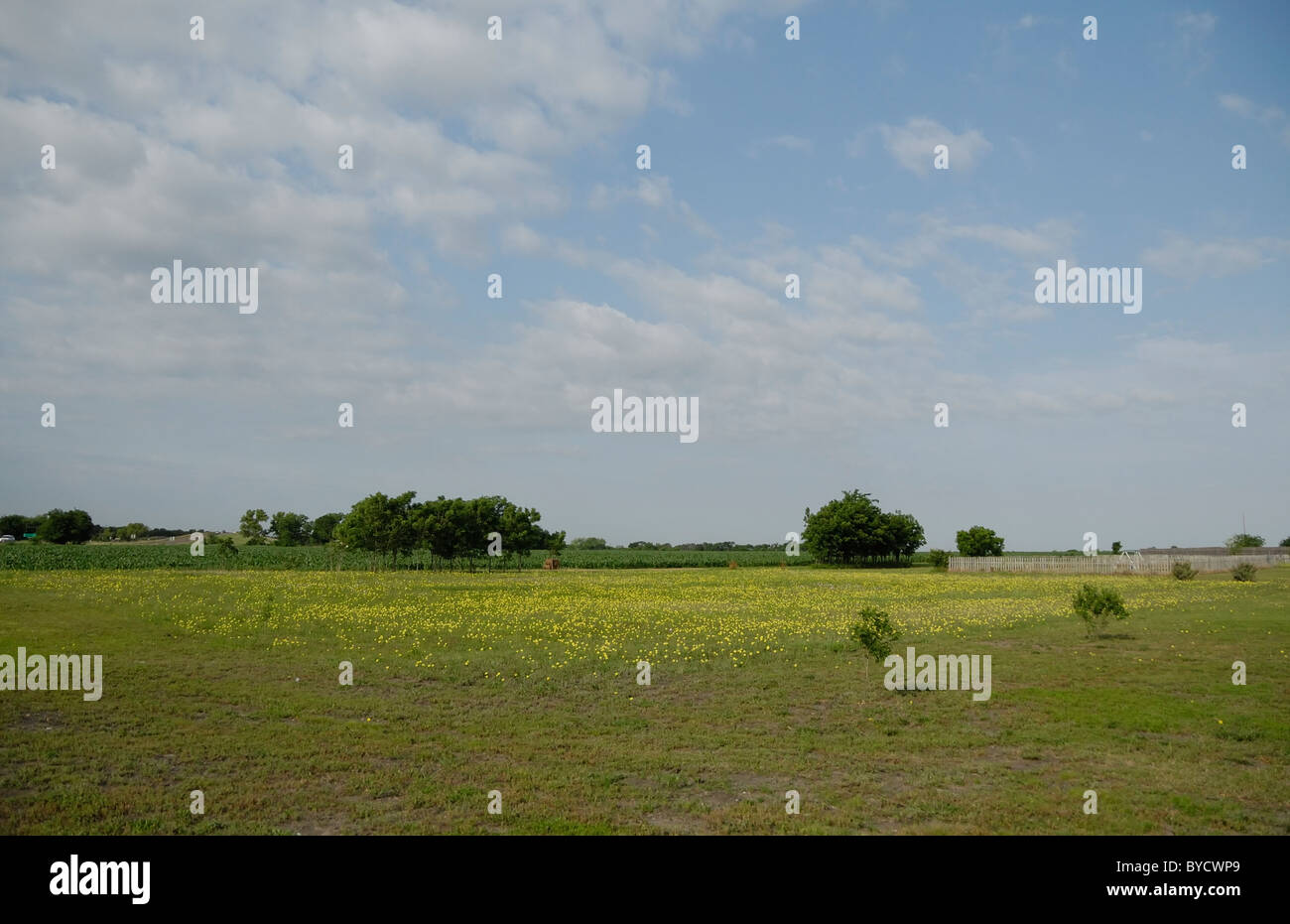 Gli agricoltori campo su un parzialmente;y giorno nuvoloso Foto Stock