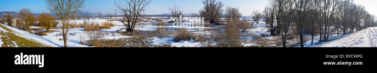 Fiume prati panorama invernale fiume DANUBA Baviera Germania wörth an der Donau neve fredda foto panoramica stiched Foto Stock