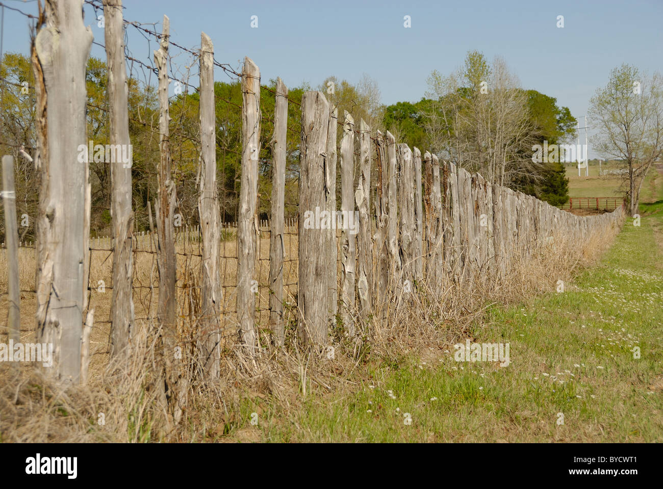 Una fila di stecche di legno facendo una recinzione in un paesaggio rurale. Foto Stock