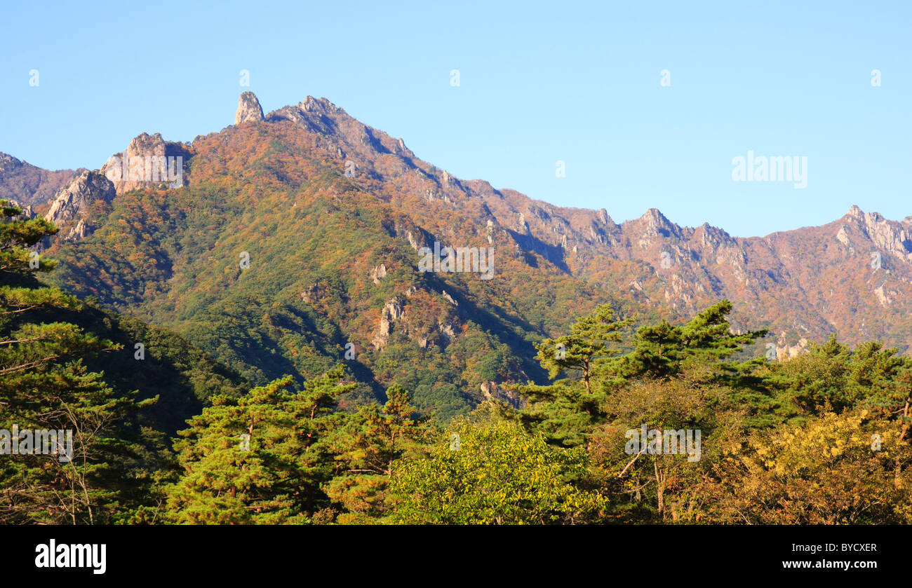 Seoraksan montagne mattina, Corea del Sud Foto Stock