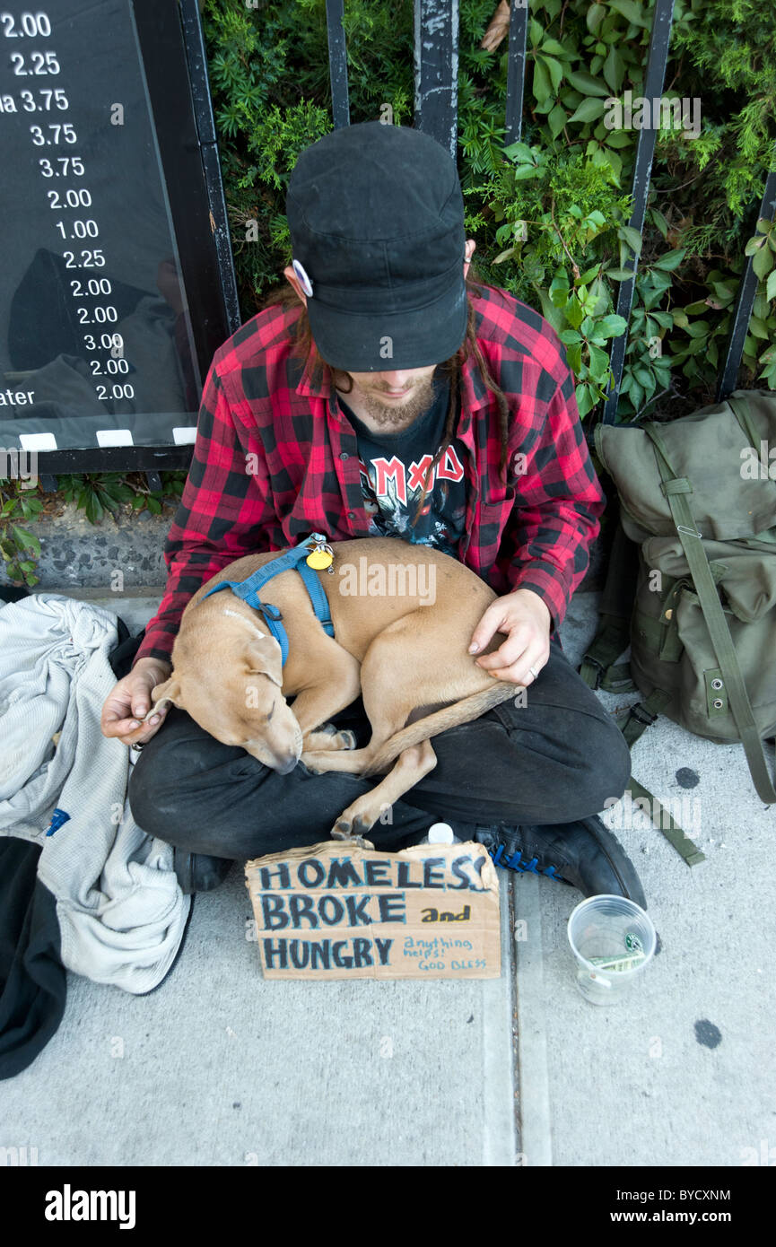 Giovani senzatetto uomo con il cane a mendicare per le strade di New York City, Stati Uniti d'America Foto Stock