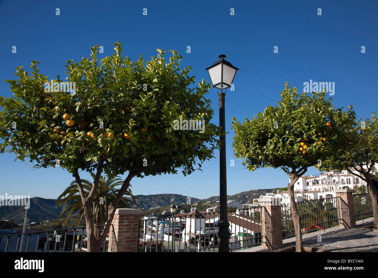 Alberi di arancio e un lampione in Frigiliana, Spagna. Foto Stock