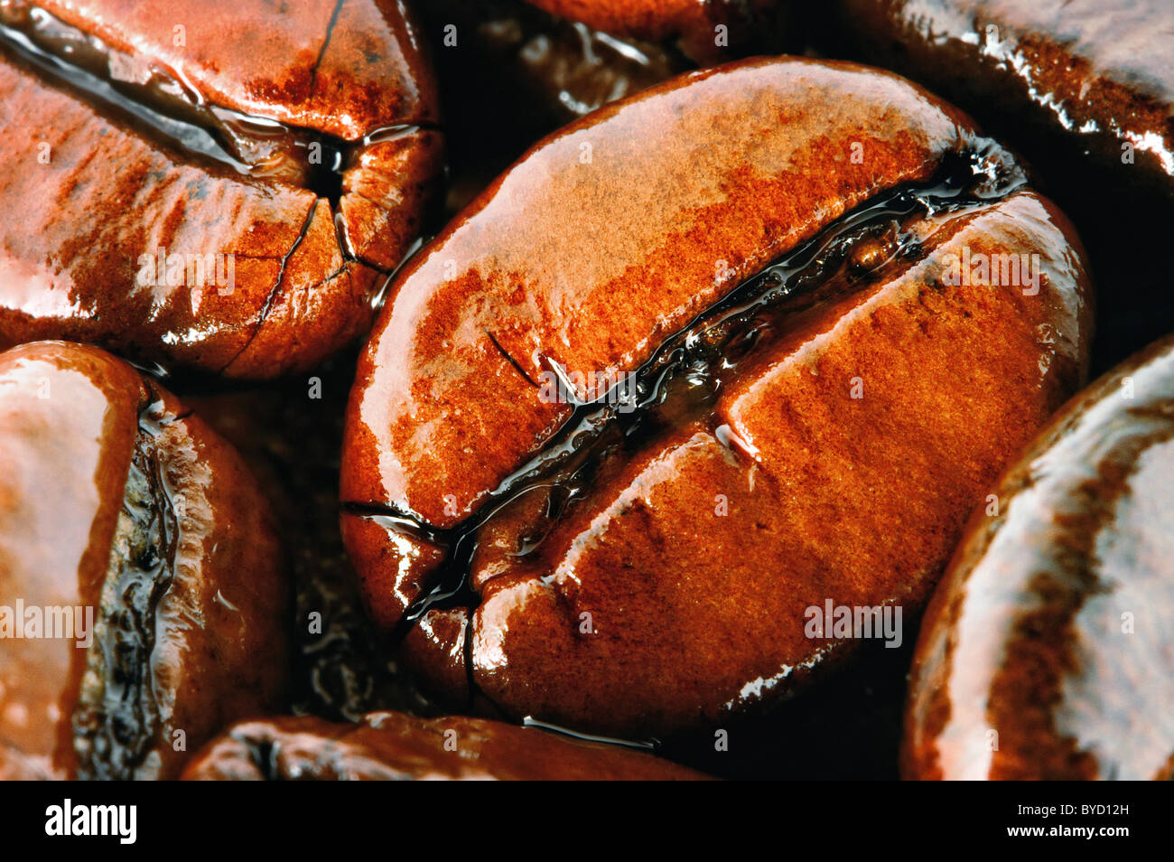 I chicchi di caffè , super macro Foto Stock