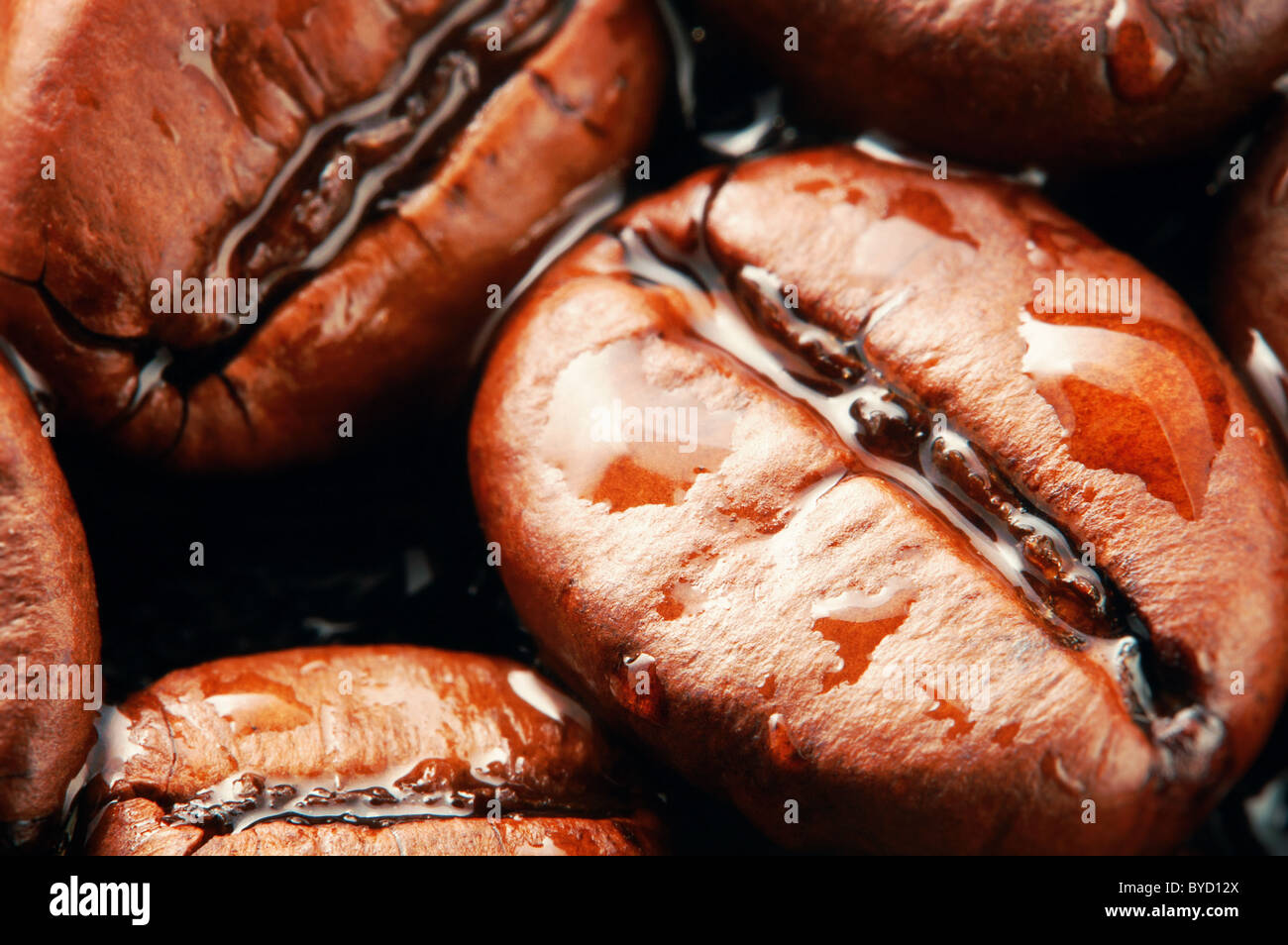 Gocce di acqua su i chicchi di caffè super macro Foto Stock
